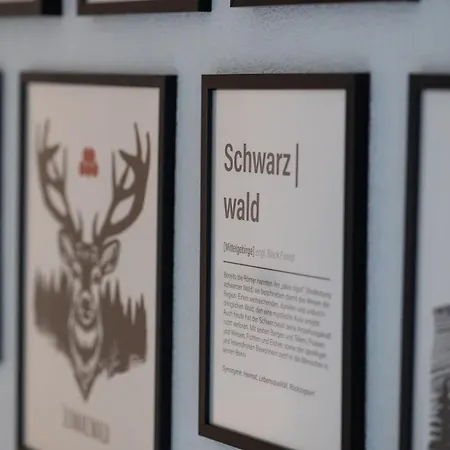 Schwarzwald84 - Terrasse & Weitblick, Ruhig & Zentral, Wallbox