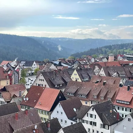 Schwarzwald84 - Terrasse & Weitblick, Ruhig & Zentral, Wallbox * フロイデンシュタット